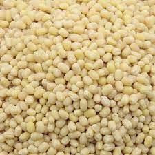 URAD GOTA