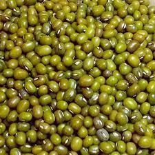 MOONG DAL BURFI (1.816 KG X 8 TR)