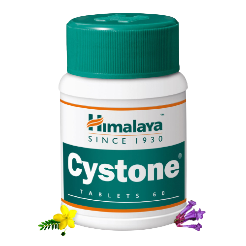 HIMALAYA CYSTONE