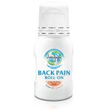 AMRUTANJAN BACK PAIN SPREY